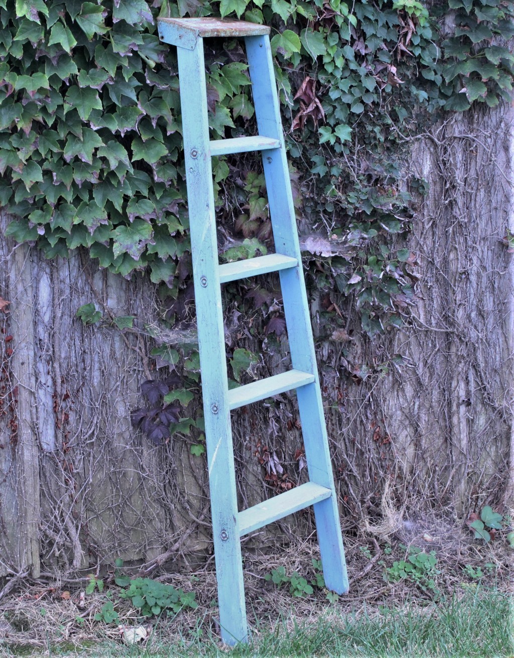 Half Stepladder Shelf 5 Steps Rustic Painter's Ladder