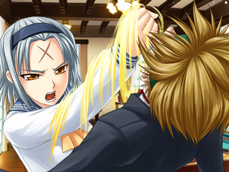 [HVN] Kimi ga Aruji de Shitsuji ga Ore de