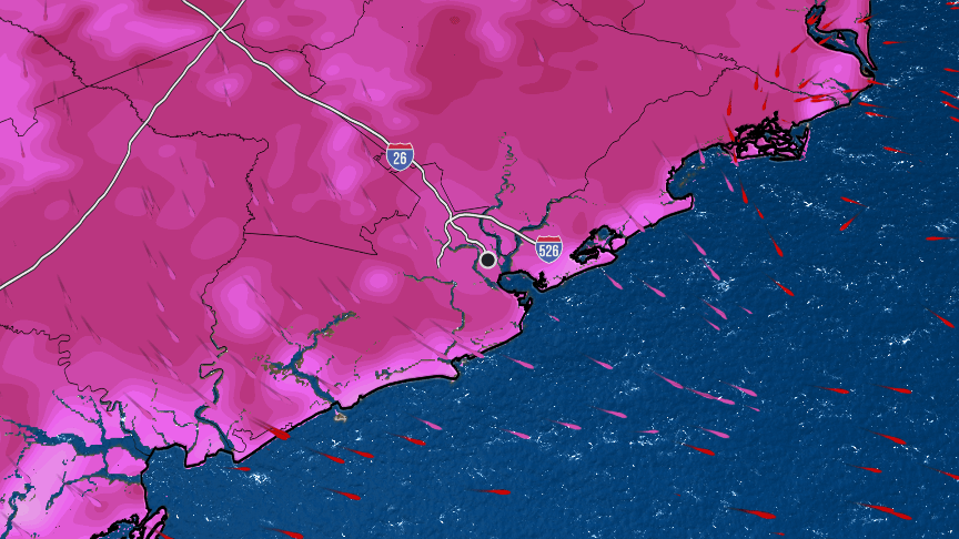 Charleston Local Forecast Videos from The Weather Channel