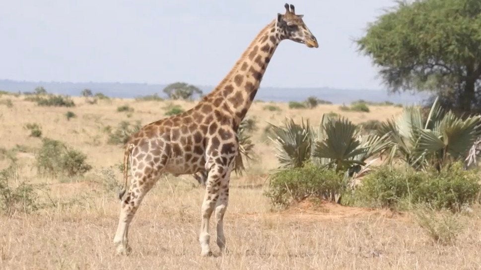 Warner Robins, GA Weather Forecast and Conditions The Weather Channel