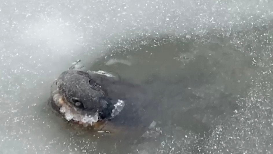 Poughkeepsie, NY Weather Forecast and Conditions The Weather Channel