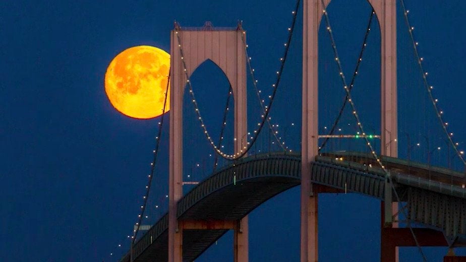 Venice, FL Weather Forecast and Conditions The Weather Channel