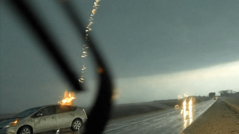 Turtle Has 18 Pounds of Earth on Back Videos from The Weather Channel