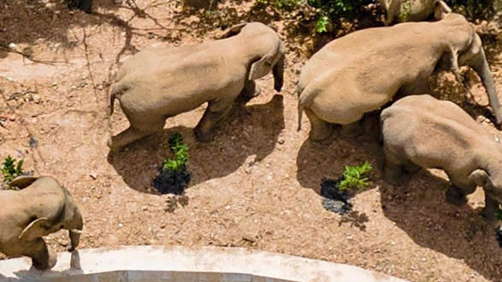 Austell, GA 10Day Weather Forecast The Weather Channel