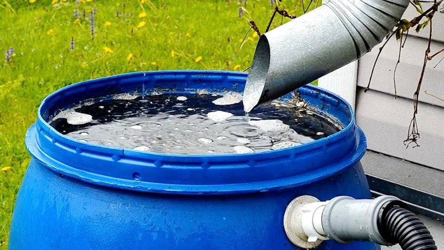 How You Can Use Rainwater At Home Videos from The Weather Channel