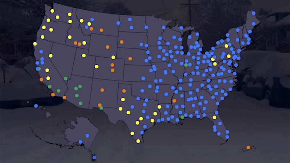 Rehabilitated Bee Appears to Wave at English Girl who Saved it Videos