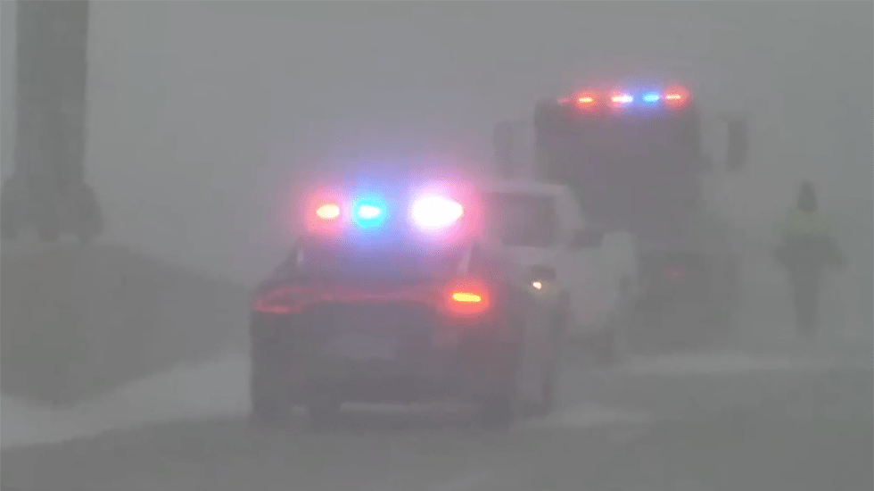 150 Yellowstone Bison Surround SUV, Tourists Freak Videos from The
