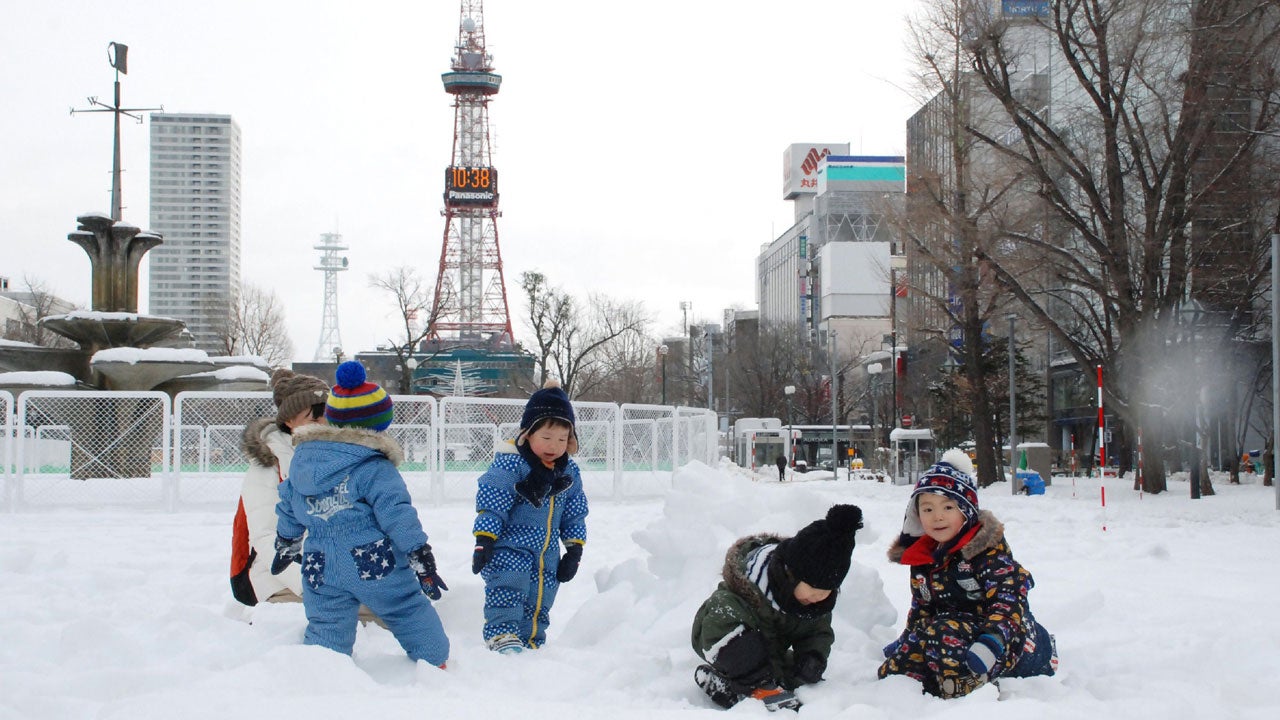 Snow Search Japan [Idioma Inglés] abebooks.de