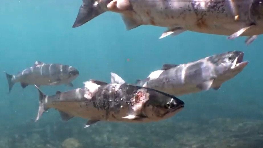 King, NC Weather Forecast and Conditions The Weather Channel