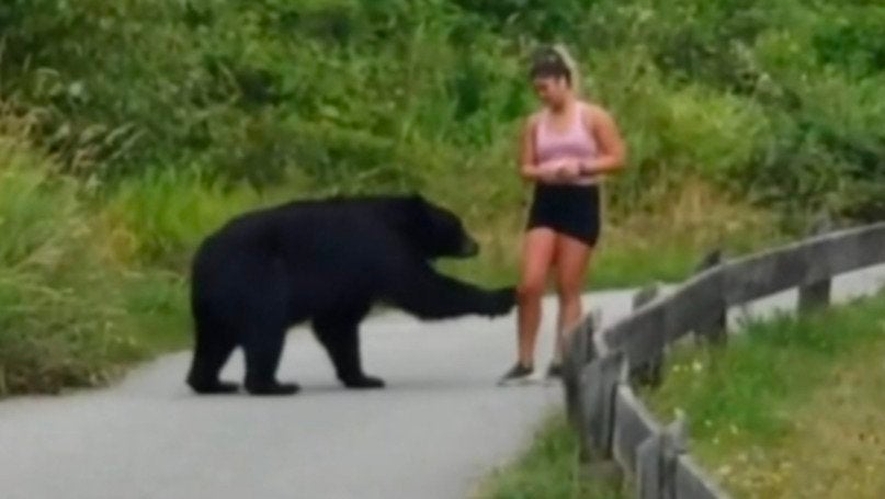 Lacey, WA Weather Forecast and Conditions The Weather Channel