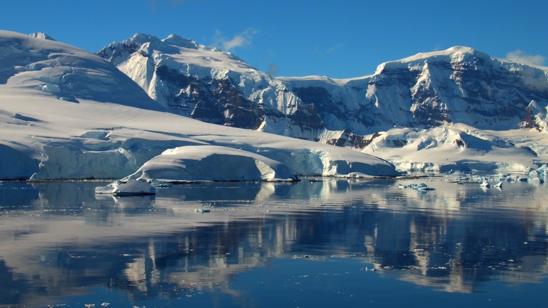 Antarctic Ice Shelves Suffer Staggering Losses
