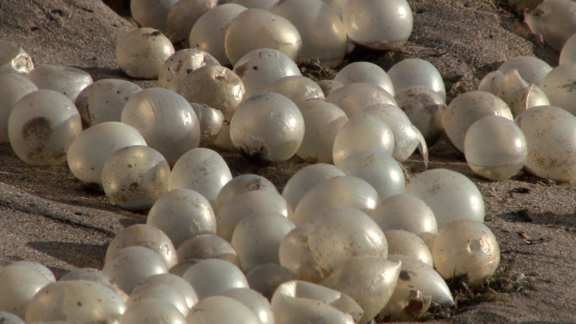 Almond, NC Weather Forecast and Conditions The Weather Channel