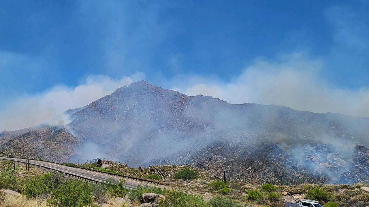 Collinsville, TX Weather Forecast and Conditions The Weather Channel