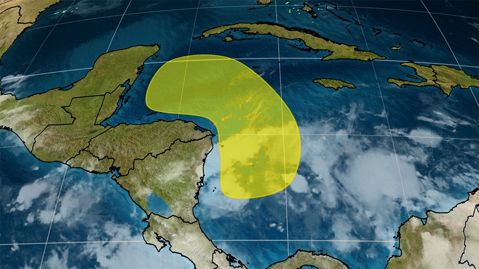 Watch Amazing Moment Deer Sheds Its Antlers Videos from The Weather