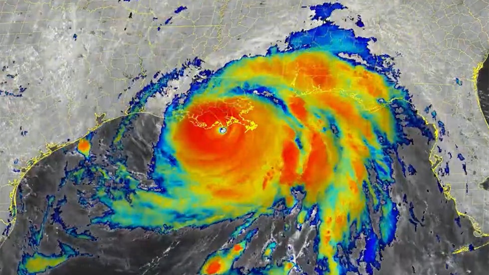 Clam Knows Where It’s Going in the Sand Videos from The Weather