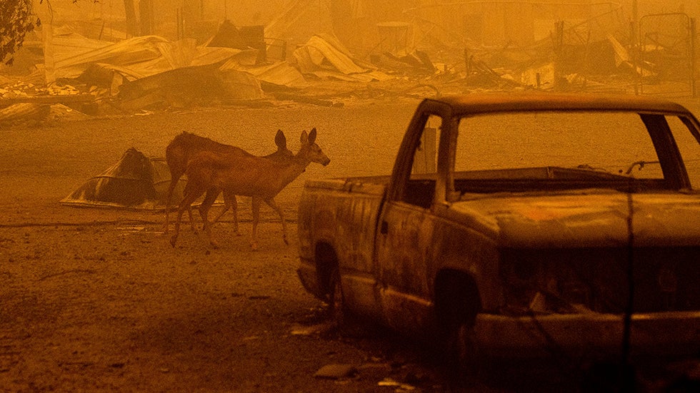 Half Moon Bay, CA 10Day Weather Forecast The Weather Channel