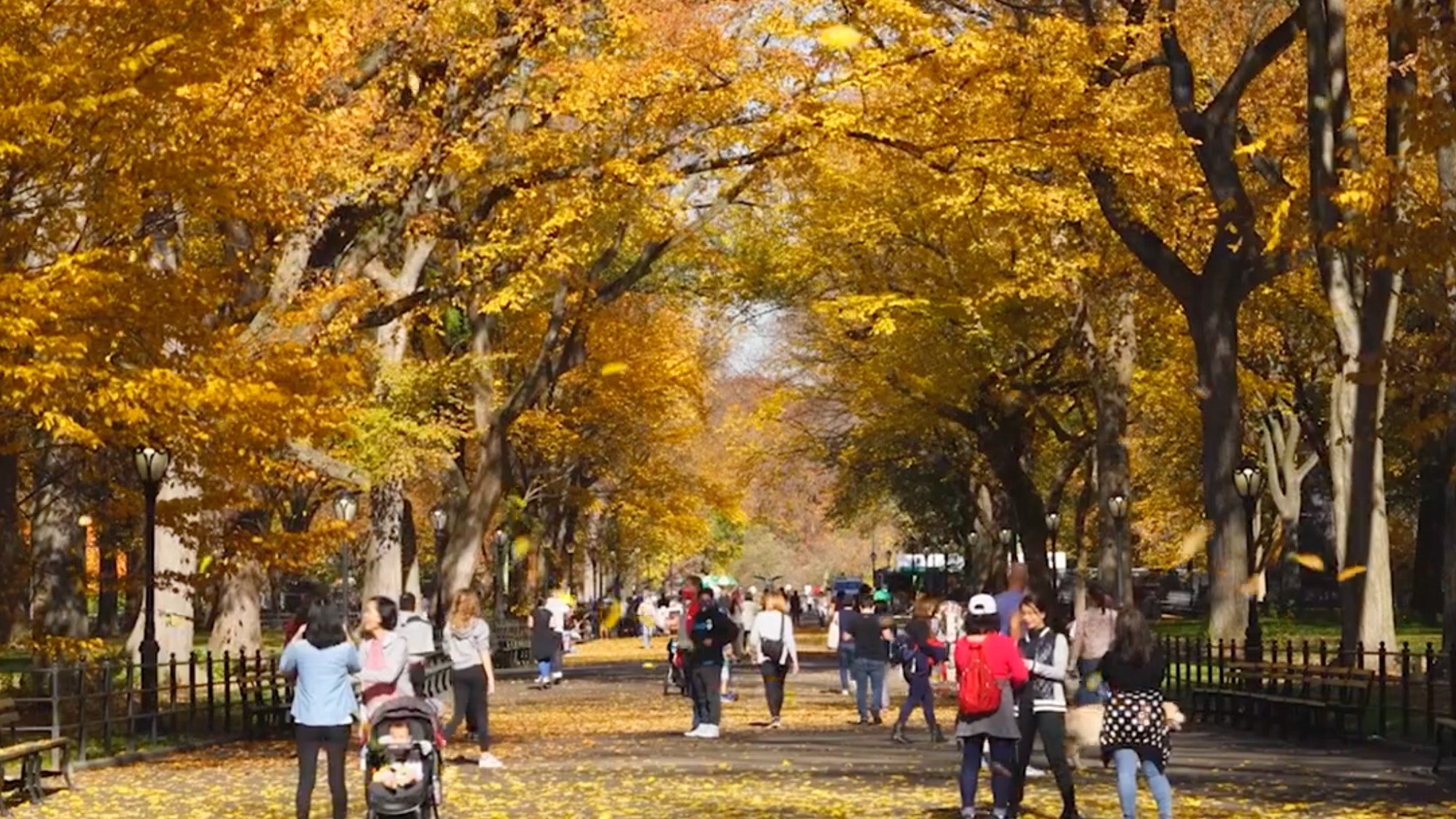 The Best Fall Travel Destinations