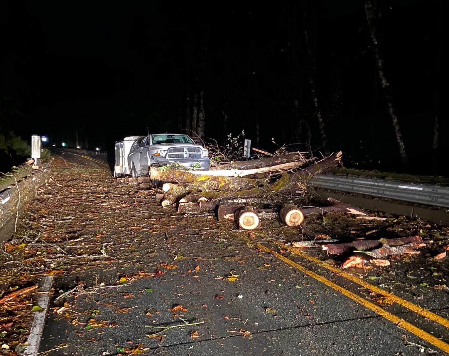 Northwest Sees Brutal, Windy Storm That Downed Power Lines, Damaged