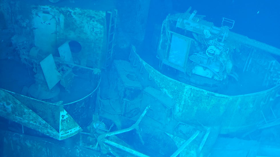 Crocodile Walks Onto Crowded Beach in Colombia Videos from The