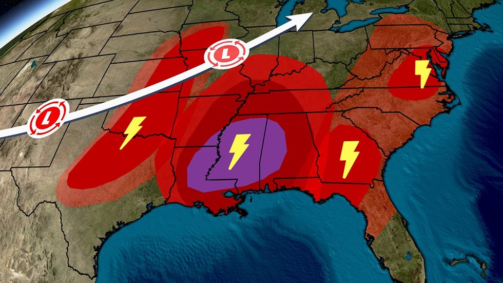 Rare Bloom in One of the World's Driest Places Videos from The