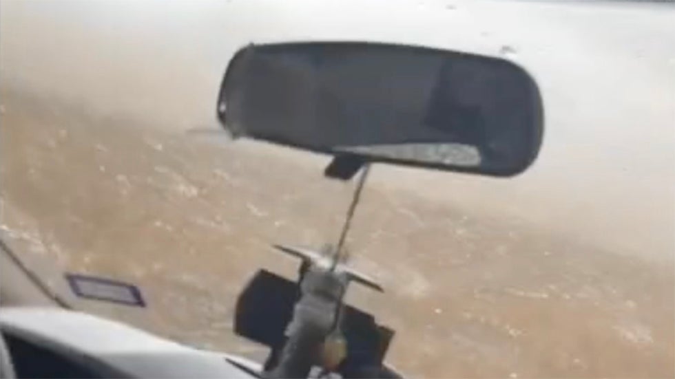 Watch Amazing Moment Deer Sheds Its Antlers Videos from The Weather