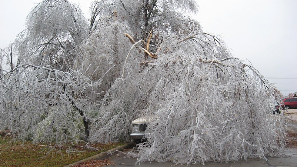 Weather Words 'Sleet Versus Freezing Rain'