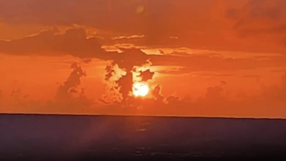 Ancient Tree Survives Harvey in Rockport, TX Videos from The Weather