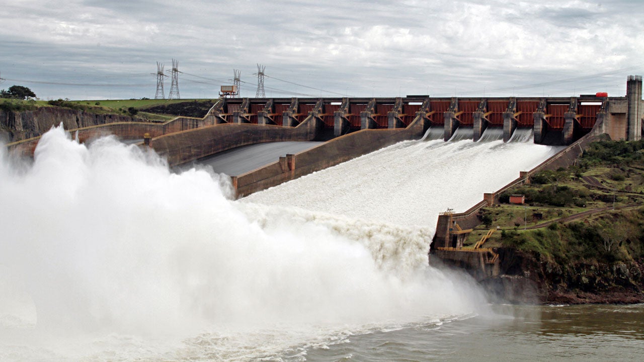 Hydroelectric Plants In the Amazon Will Cause 'Countless' Extinctions