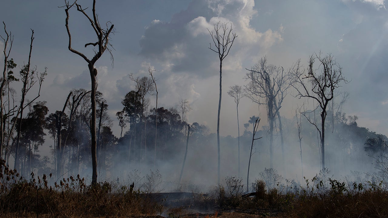 Amazon Rainforest Fires Releasing Plumes of Carbon Monoxide The