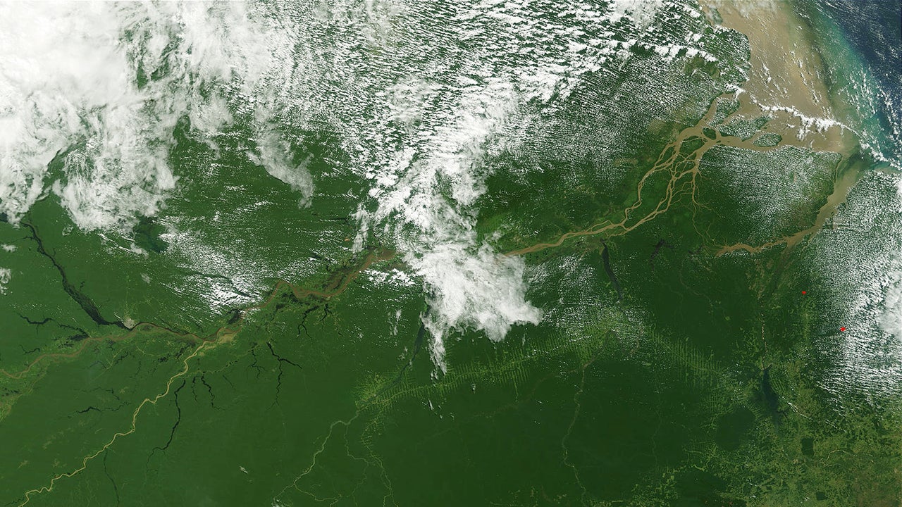 Amazon Rainforest Faces Continued Warming, MultiYear Droughts, Study