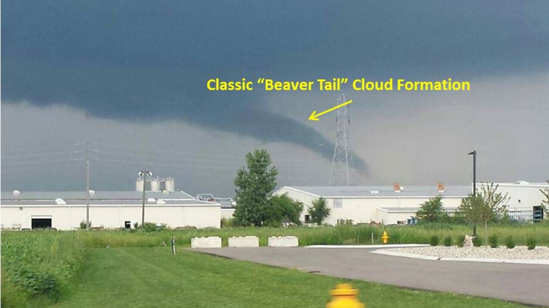 Weather Words 'Beaver Tail'