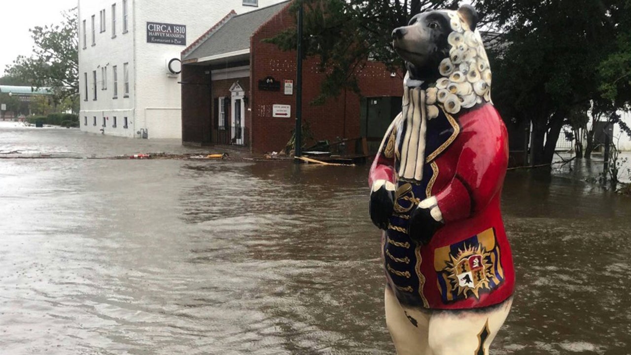 New Bern Officials 'Some of Our Beloved Bears Have Wandered Off' The