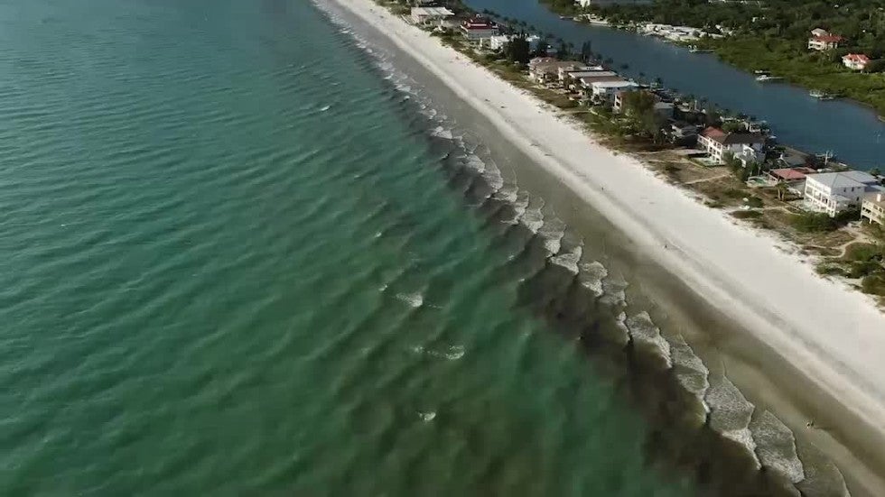 Treasure Island, FL 10Day Weather Forecast The Weather Channel