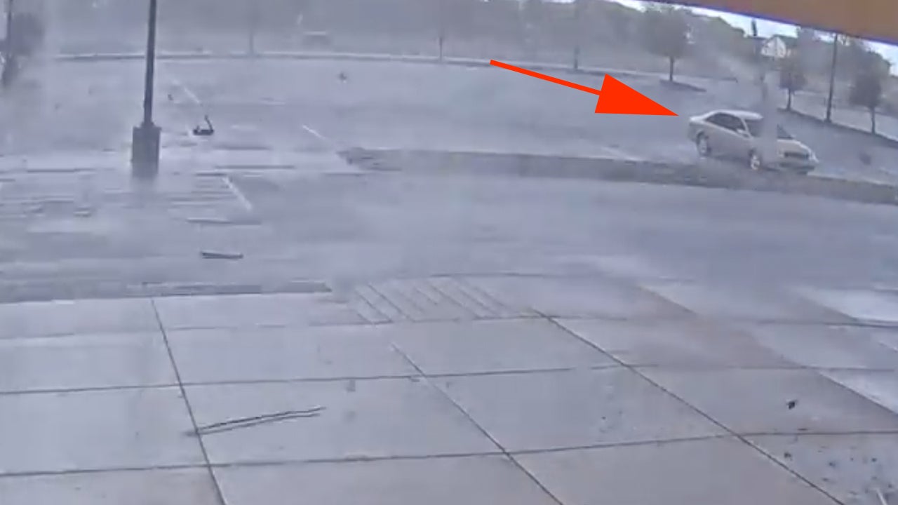 Drone View of Shark Stalking Crocodile Videos from The Weather