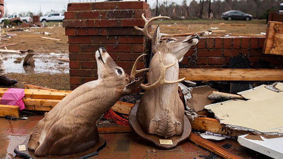 Lisbon, Portugal 10Day Weather Forecast The Weather Channel