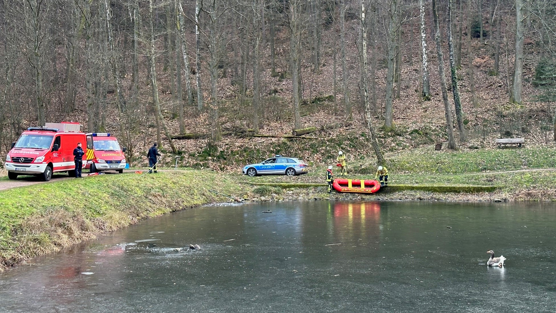 Gans Heinrich friert auf See fest Feuerwehr muss anrücken