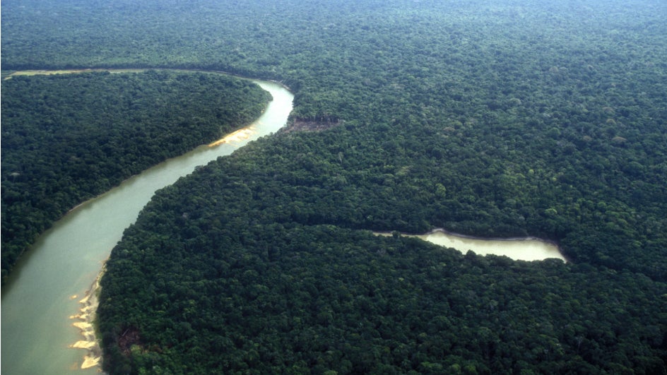 Por qué cada vez llueve más en la Amazonía