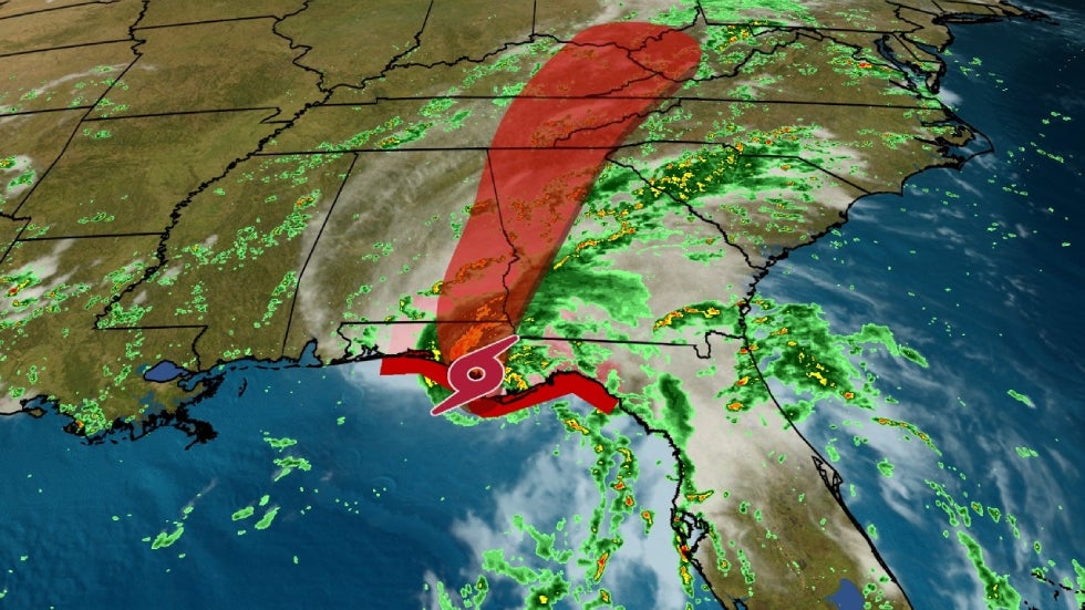 Manta Ray Given Mirror Test, Passes Videos from The Weather Channel