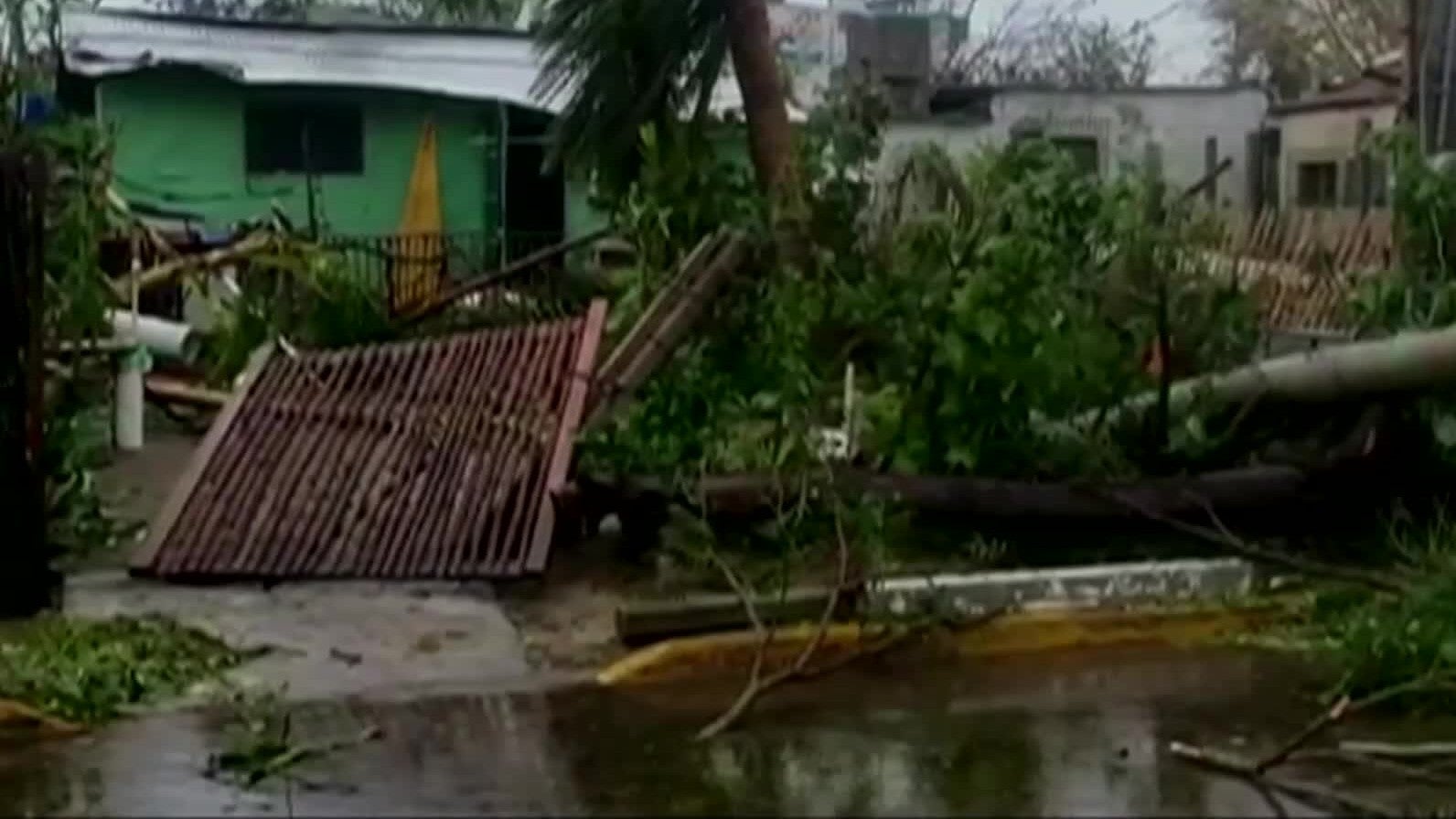 Massive Snake Skin Found in Maine Videos from The Weather Channel