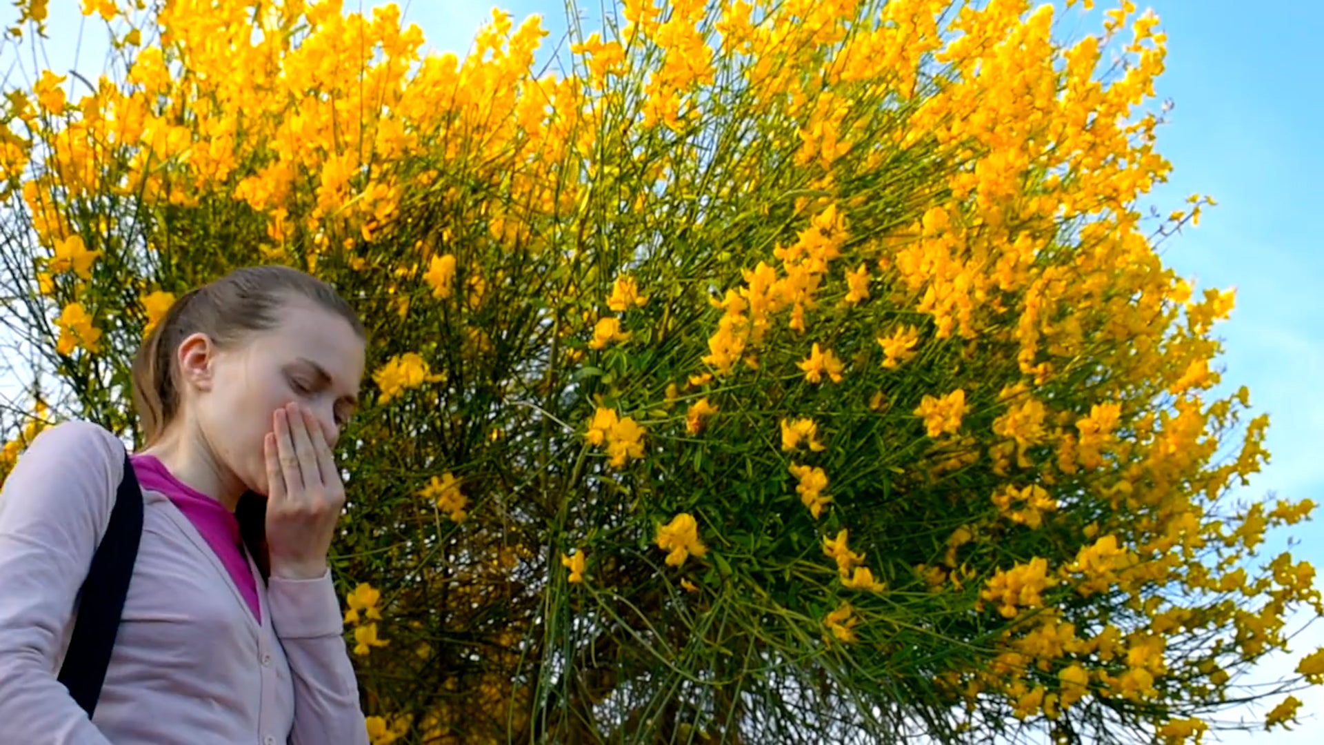 How Cold Snaps Impact Pollen Counts Videos from The Weather Channel