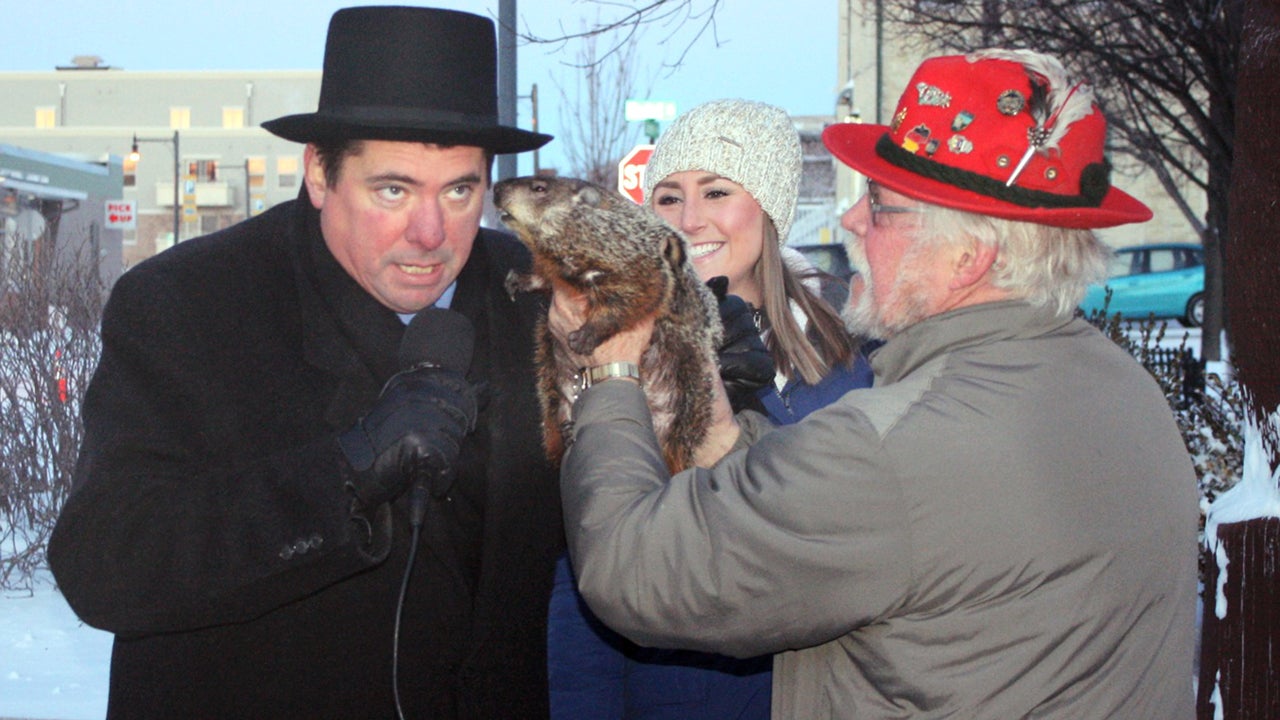 Jimmy the Groundhog Takes a Bite out of Sun Prairie Mayor The Weather Channel