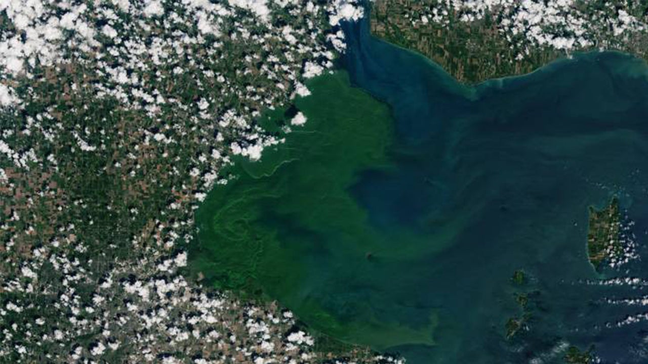 Dangerous Lake Erie Algal Bloom Is Now Eight Times the Size of