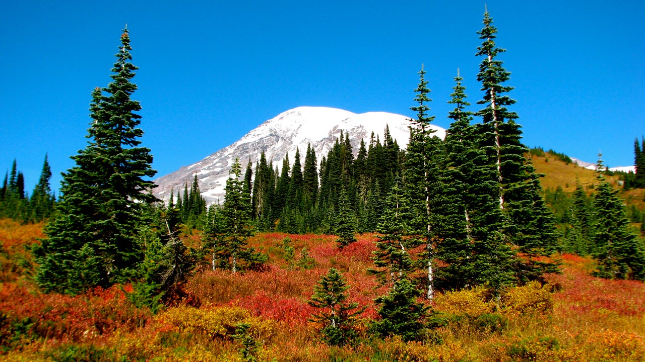 Spokane, WA 10Day Weather Forecast The Weather Channel