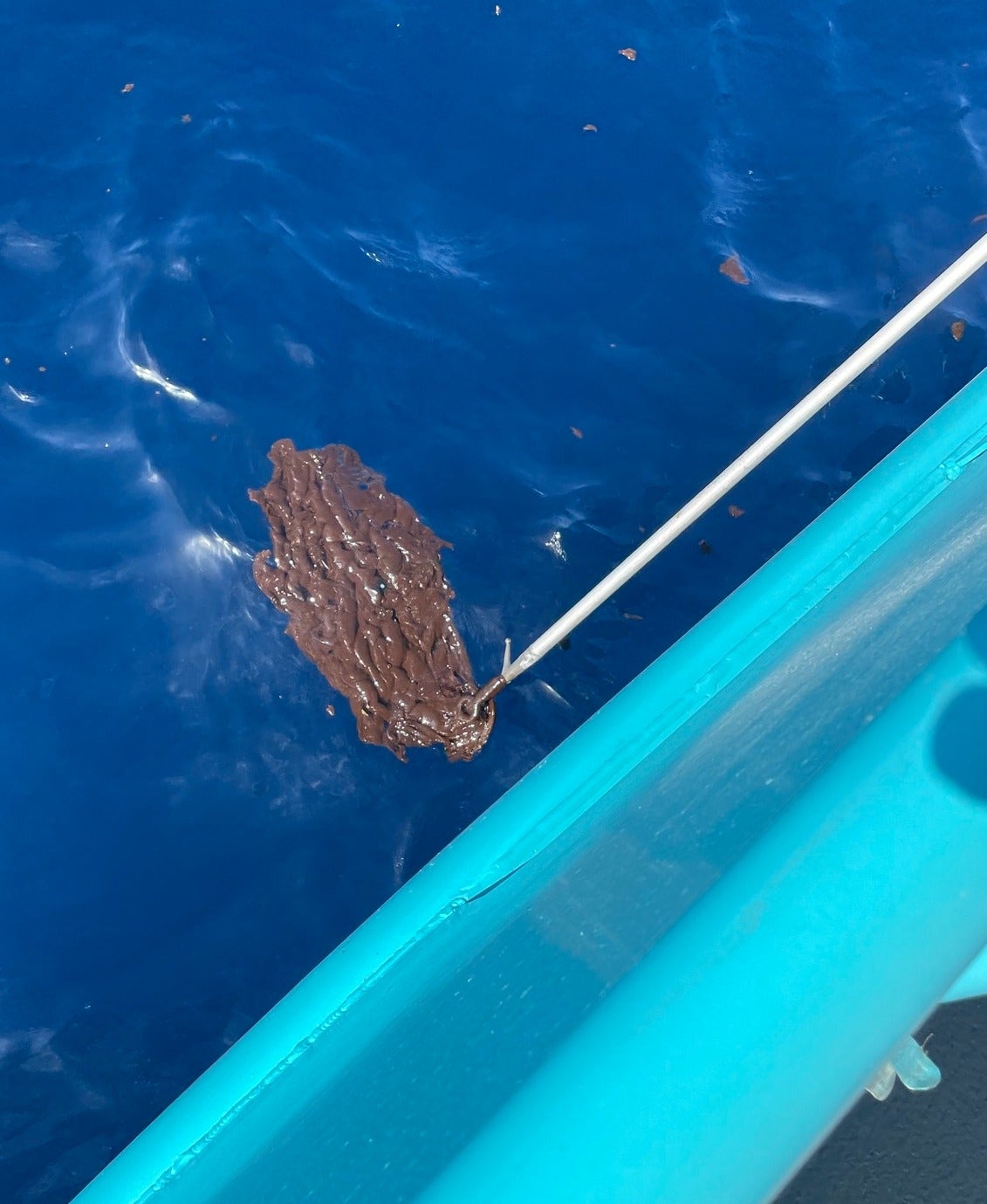 MillionGallon Oil Spill In Gulf of Mexico