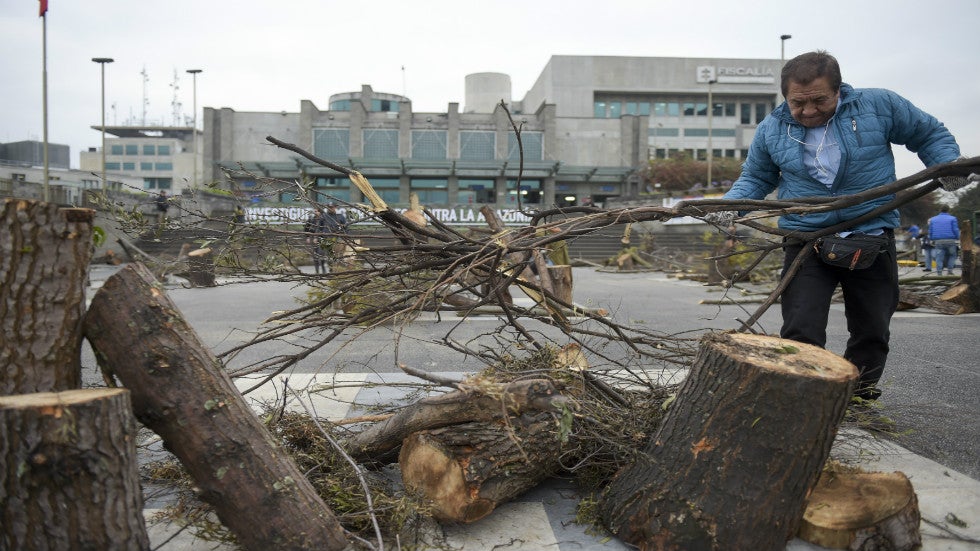 Plants Going Extinct at Twice the Rate of Animals, New Research Shows