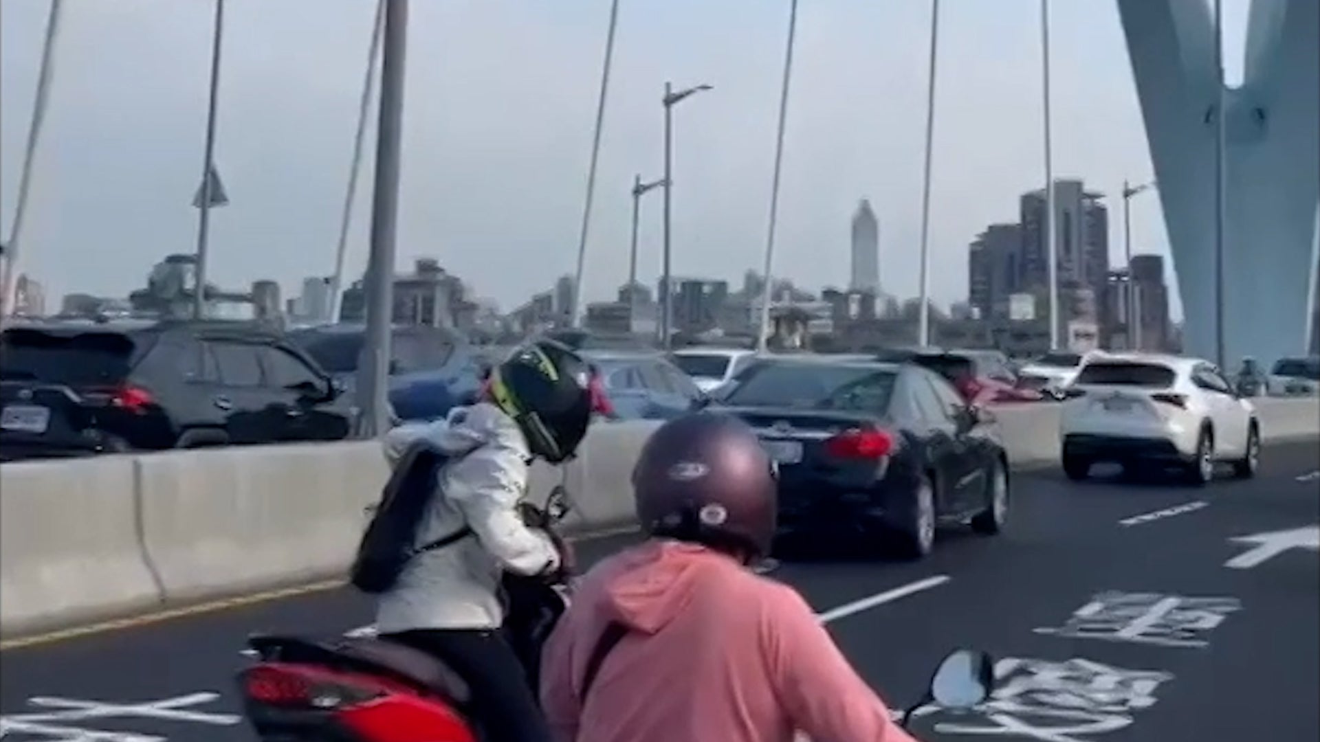 Moose on the Loose Causes Traffic Jam in Canada Videos from The