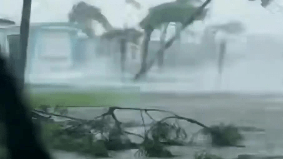 Hurricane Ian’s Winds Toppled Trees And Shredded Buildings Through