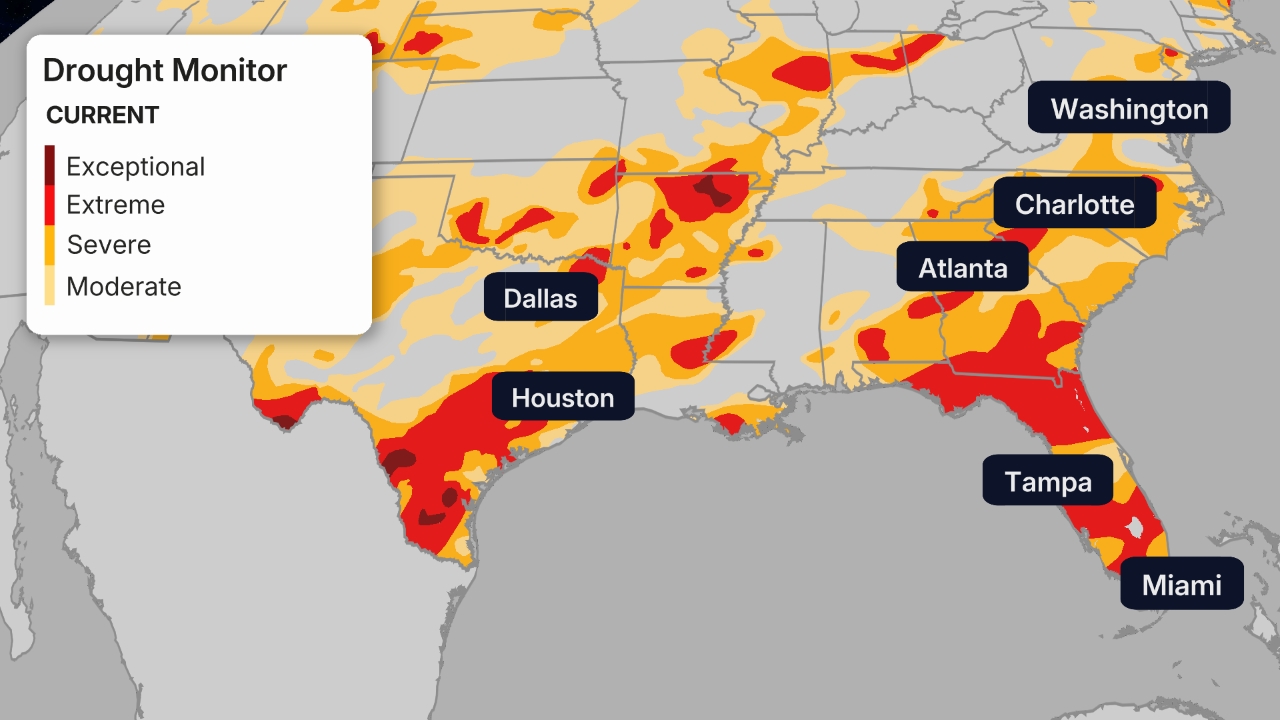 Florida Tropical System Tracker Spaghetti Models, Cone, Satellite and