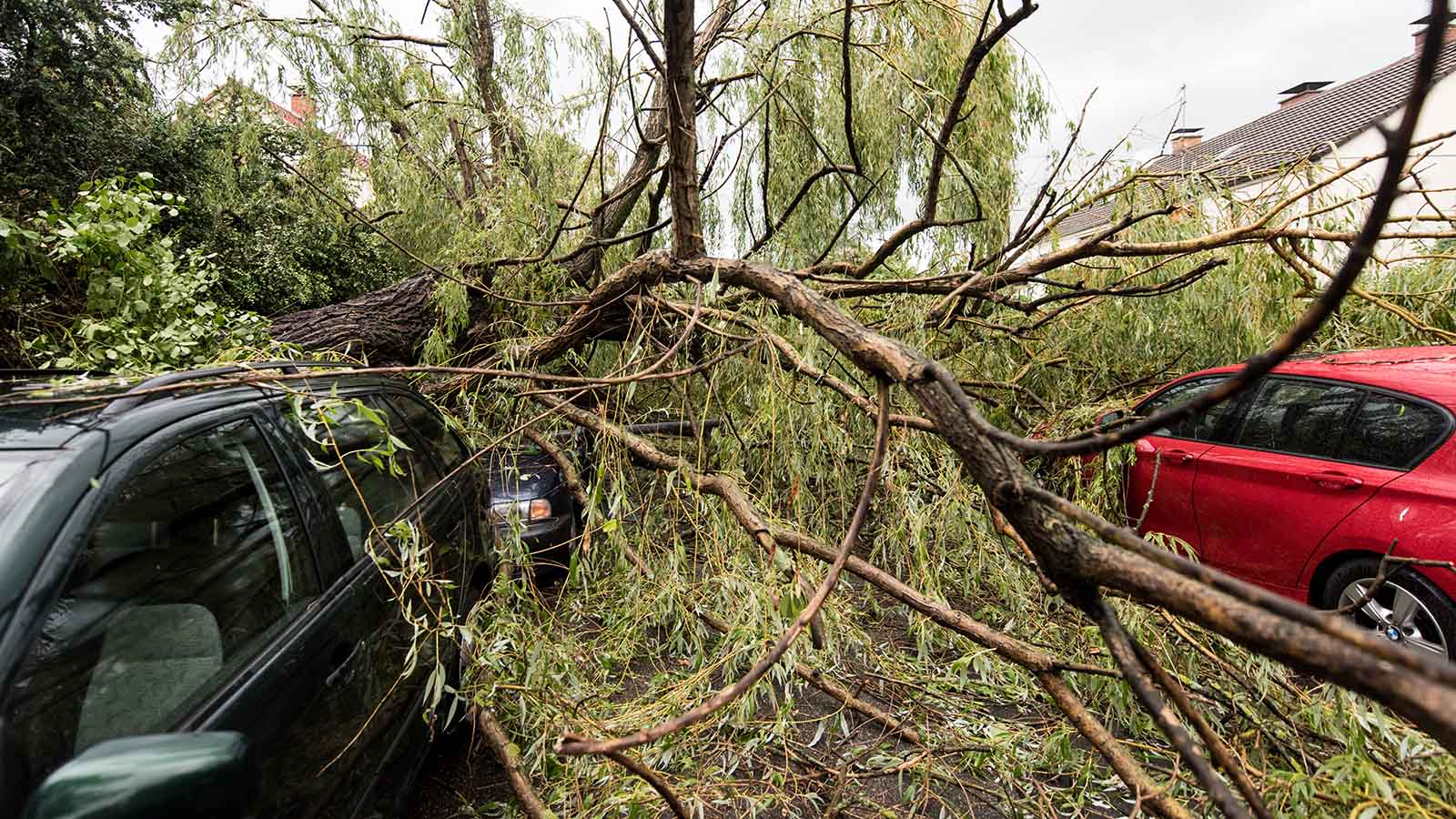 Unwetter in Freiburg und Leipzig Polizei warnt auf Twitter „Bitte sucht sichere Unterstände