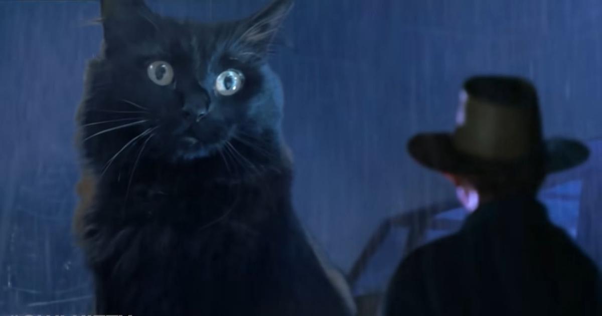 Video The TRex in Jurassic Park has been replaced by a giant cat in a